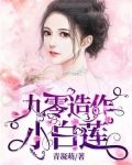 九零之白莲花不好当 小说