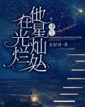在星光灿烂处等你 小说