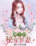 傅少的秘宠罪妻