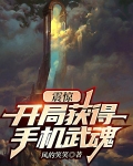 震惊，开局获得手机武魂