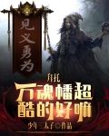 拜托，万魂幡超酷的好嘛