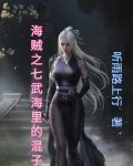 海贼之七武海里的混子
