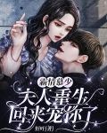 霸情慕少，夫人重生回来宠你了