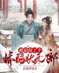 被迫捡了个娇弱状元郎 长枝望允