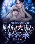 替嫁宝贝甜又软，财阀大叔轻轻亲