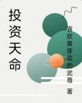 天命投资系统