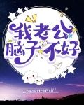 我老公脑子不好小说