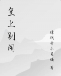 皇上别闹讲的什么
