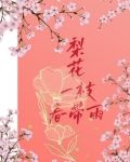 梨花一枝春带雨后一句