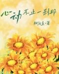 心动不止一刹那