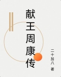献王周康传 二十加八