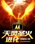 从天灵圣火进化