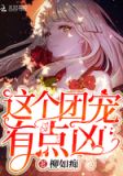 这个团宠有点凶txt下载