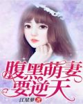 腹黑萌兽,逆天妖女