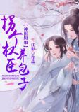 拐个神医生娃去 小说