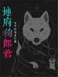 地府府君小说