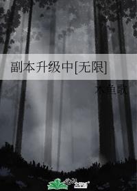 副本升级中[无限]