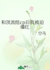 和顶流组cp后我被迫爆红