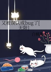 又被误认成bug了[无限]