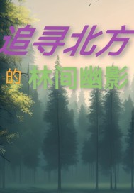 追寻北方的林间幽影