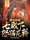 傻女拒嫁 七殿下