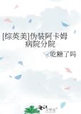 [综英美]伪装阿卡姆病院分院