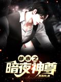 暗夜至尊绝宠杀手妻小说