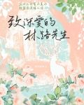 致深爱的林路先生[娱乐圈]