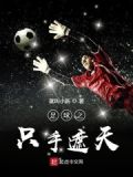 足球之只手遮天下载