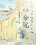 四合院，正阳门下的自在生活