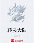 转灵小说