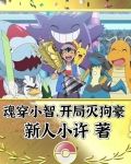 主角穿越成小智拥有写轮眼