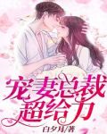 宠妻总裁超给力安安