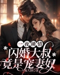 一夜锁情：闪婚大叔竟是宠妻奴