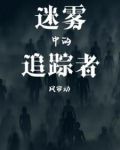 迷雾追踪是什么