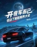 开夜车是不是惯用语