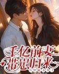 总裁千亿前妻