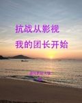 我从抗战开始崛起