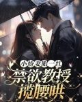 小娇妻眼一红,禁欲教授揽腰哄小说
