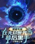 穿越斗龙在无尽世界当幕后黑手 幻想家x