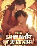导演:煤老板的审美你别挑小说