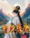 一共几个无极之境