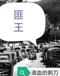 匪王电视剧34集