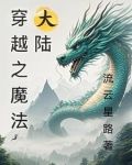 穿越魔法大陆的小说