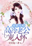 诱婚攻略：高冷老公，宠入怀