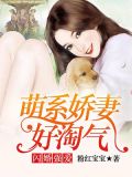 闪婚强爱:萌系娇妻好淘气百度云