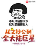 从文抄公到全大陆巨星起点