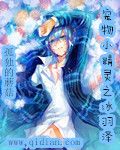 宠物小精灵之冰羽泽小馨