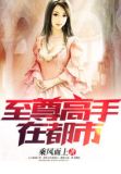 至尊高手在都市梁用免费阅读
