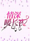 情深暖长夜罗小暖